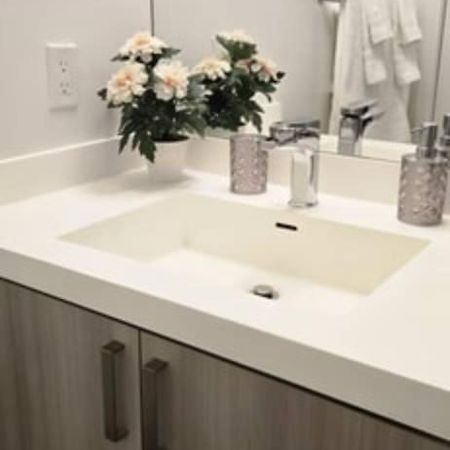 Nahani Way Properties Mississauga Kültér fotó